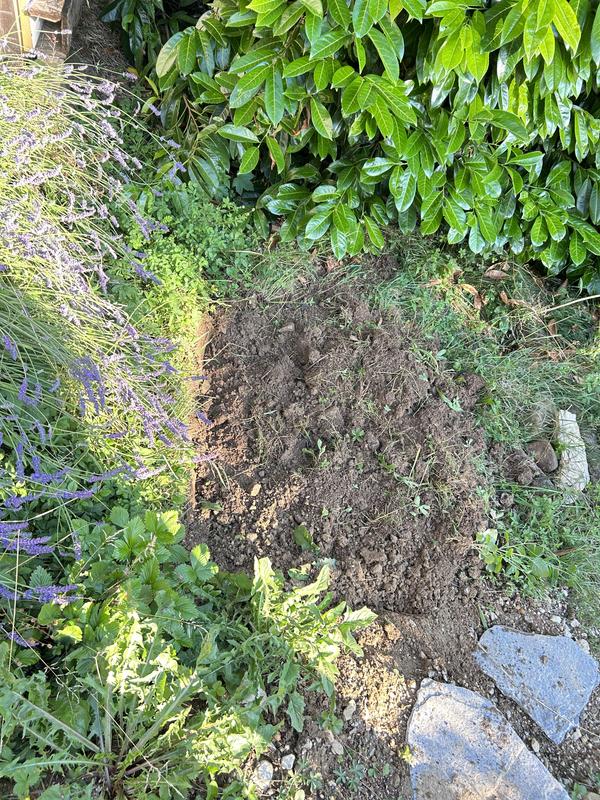 Ouvrir la fenêtre modale de l'avis 1 sur 4