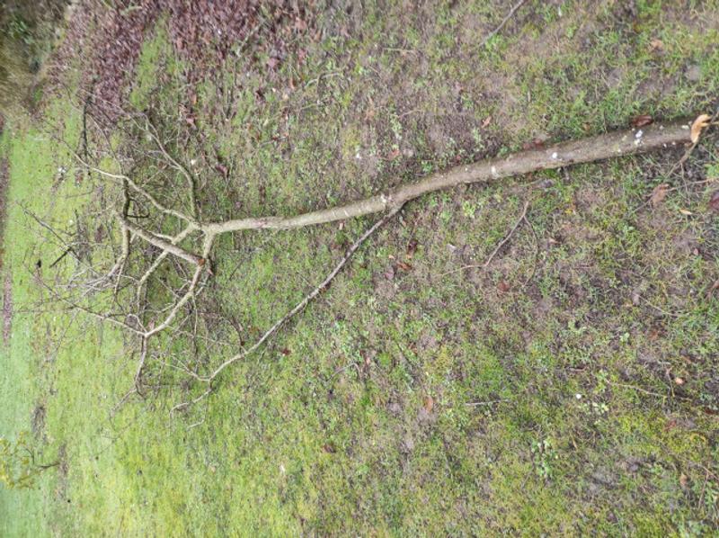 Ouvrir la fenêtre modale de l'avis 2 sur 4