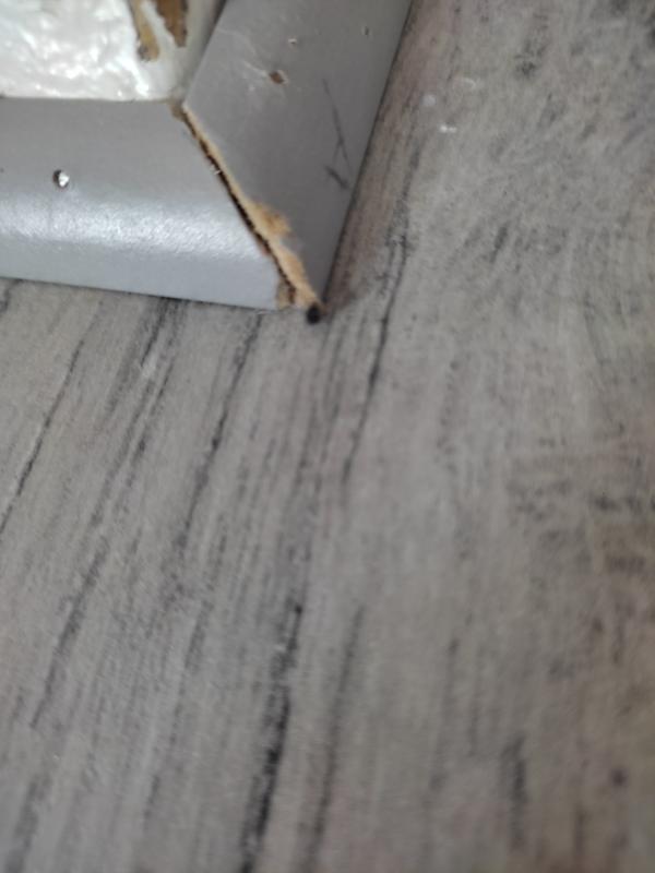 Ouvrir la fenêtre modale de l'avis 1 sur 1