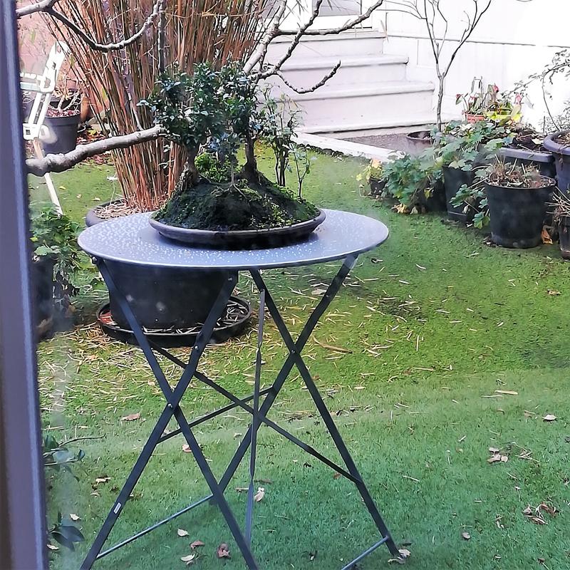 Revisione aperta modale 1 su 1