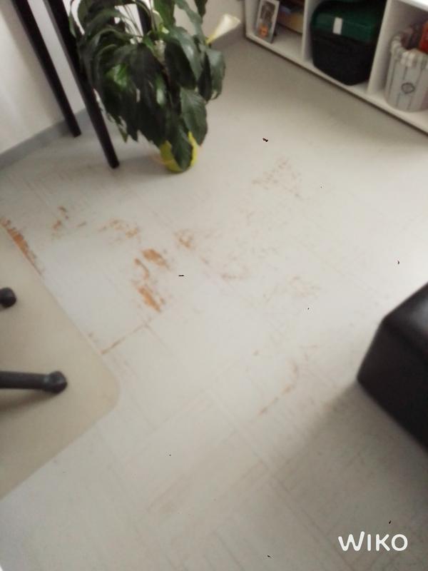 Ouvrir la fenêtre modale de l'avis 1 sur 1