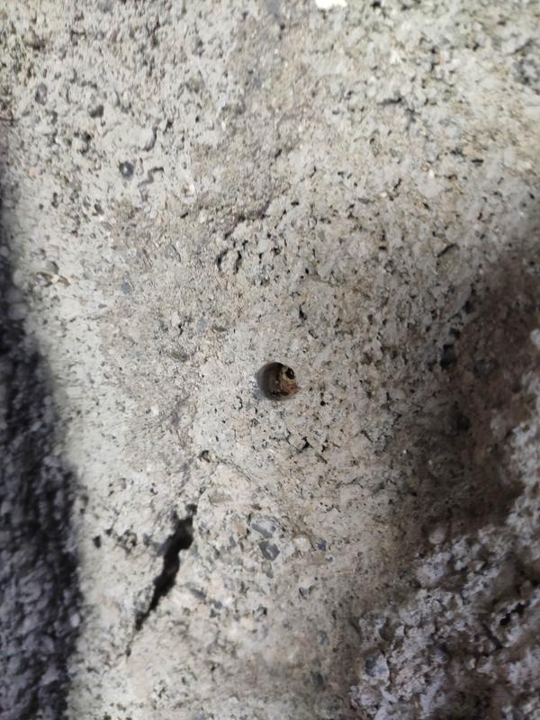 Ouvrir la fenêtre modale de l'avis 3 sur 3