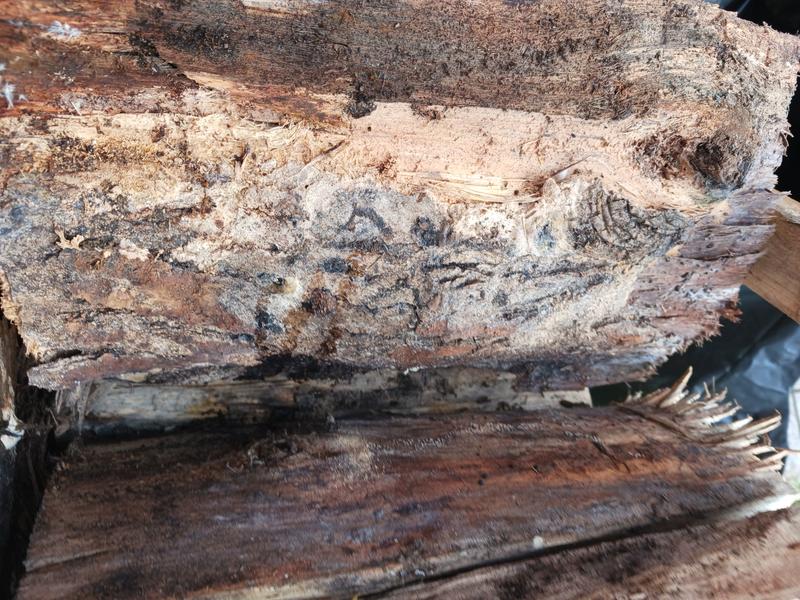 Ouvrir la fenêtre modale de l'avis 2 sur 6