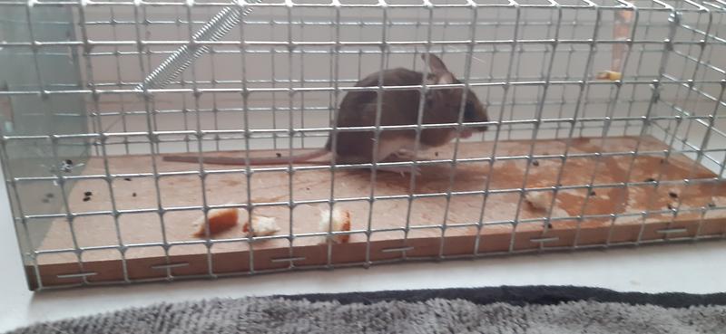 Ouvrir la fenêtre modale de l'avis 1 sur 1