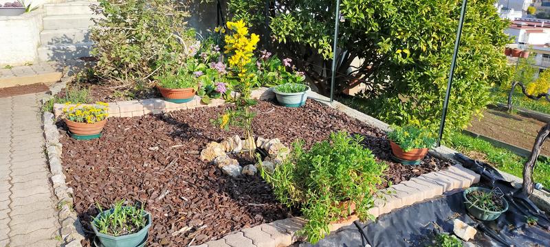 Ouvrir la fenêtre modale de l'avis 1 sur 1