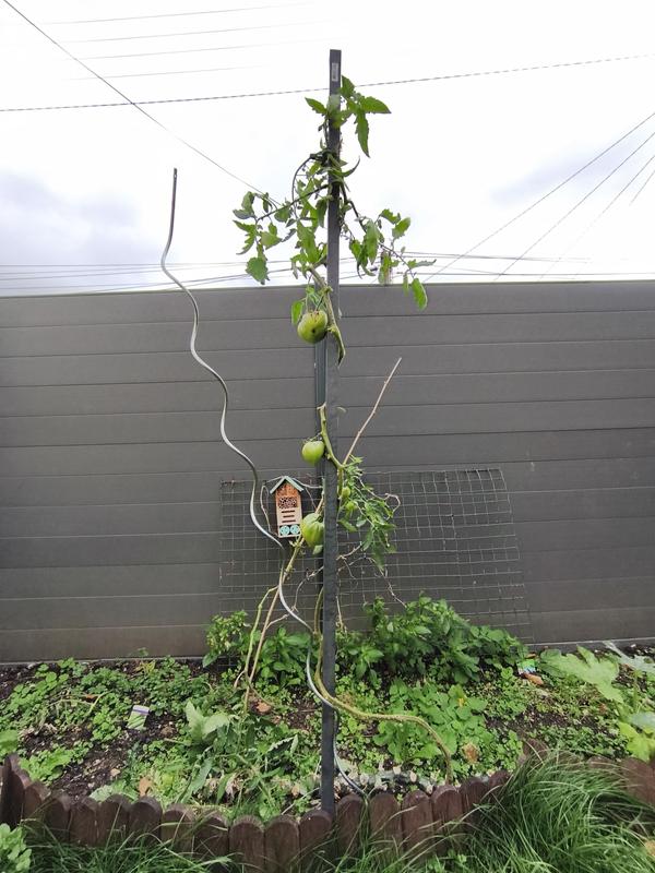 Ouvrir la fenêtre modale de l'avis 4 sur 4