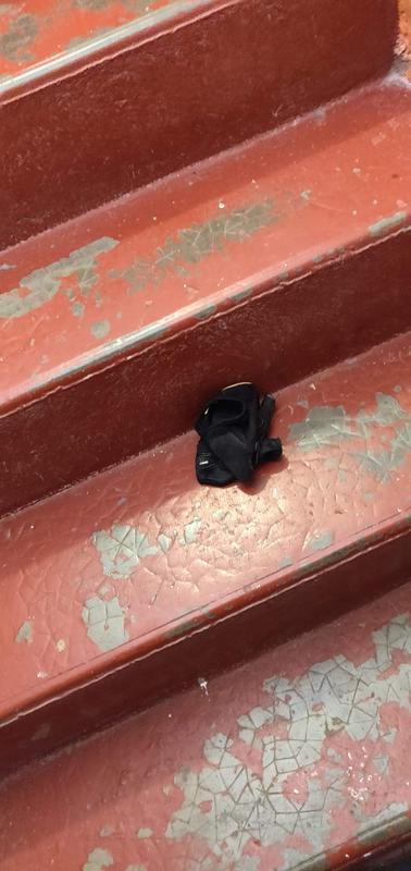 Ouvrir la fenêtre modale de l'avis 1 sur 5