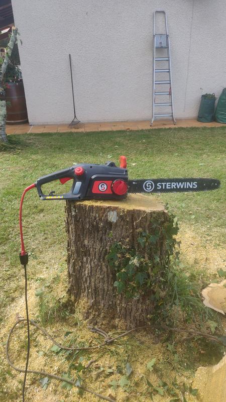 Revisione aperta modale 1 su 2