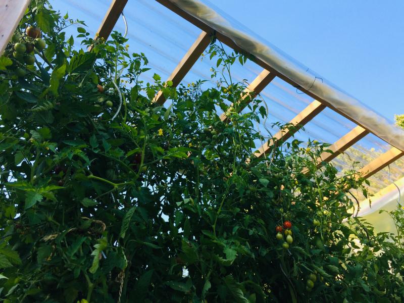 Ouvrir la fenêtre modale de l'avis 1 sur 3