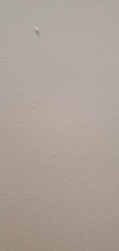 Revisione aperta modale 3 su 4