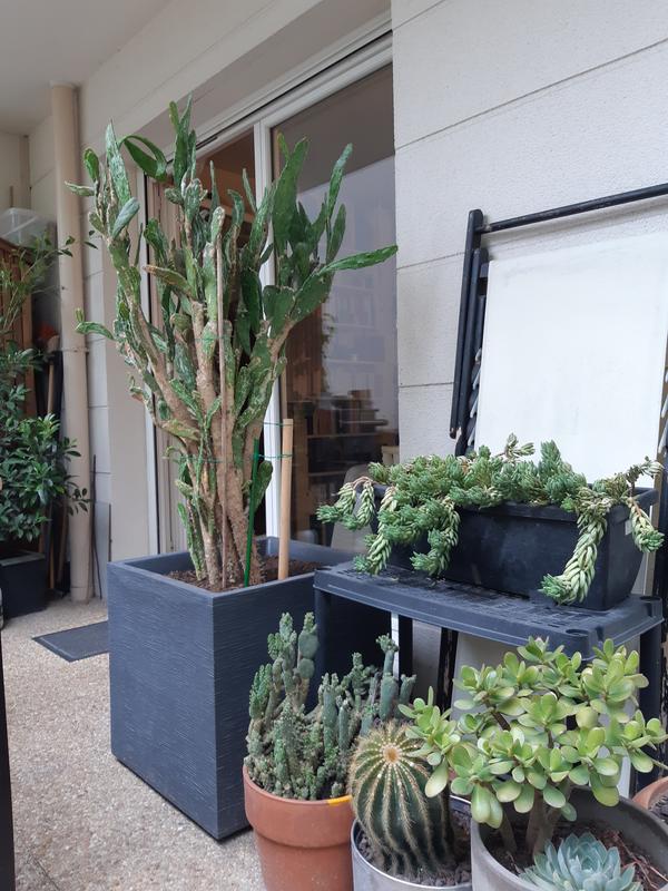 Ouvrir la fenêtre modale de l'avis 2 sur 2