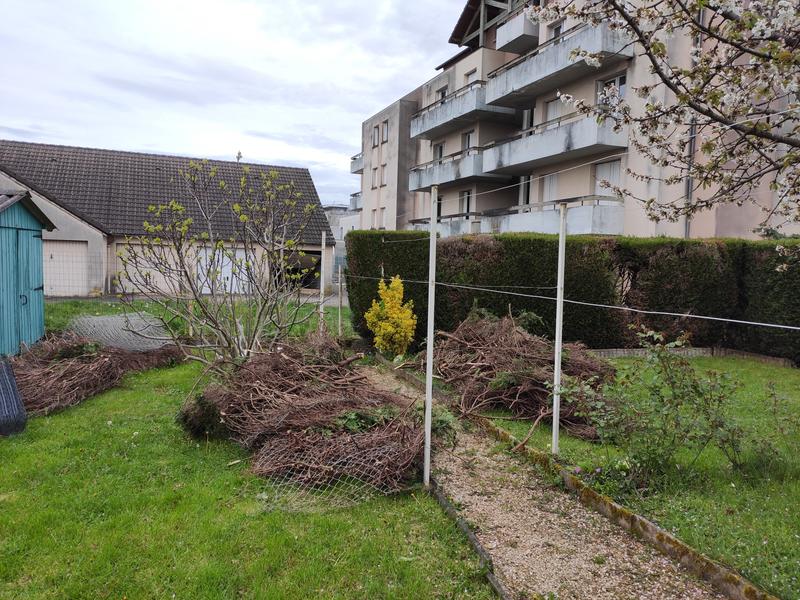 Revisione aperta modale 2 su 2