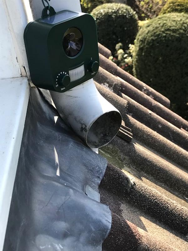 Repulsif Ultrasons Antichiens Retro Leroy Merlin