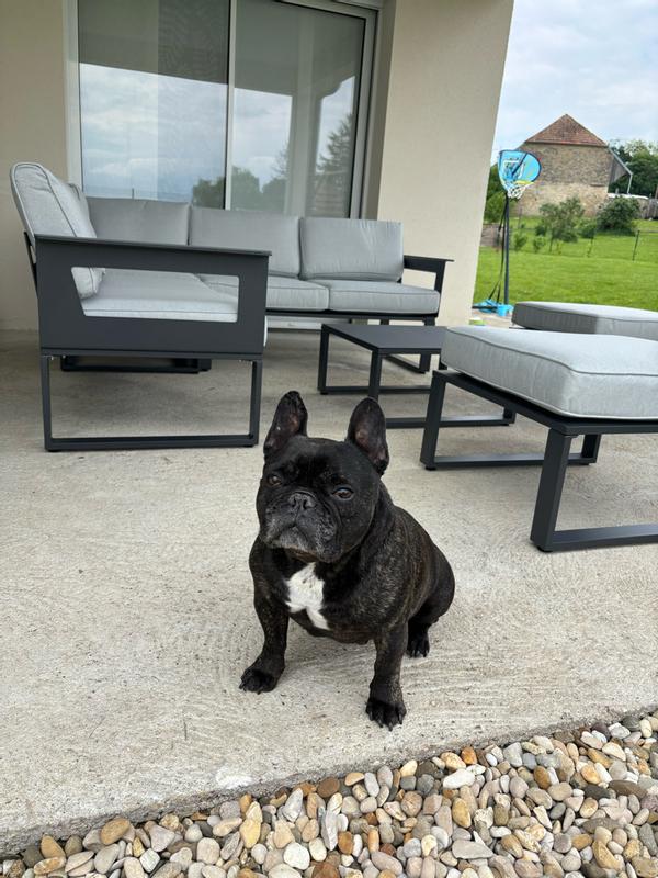 Abra o modal de avaliação 1 de 2