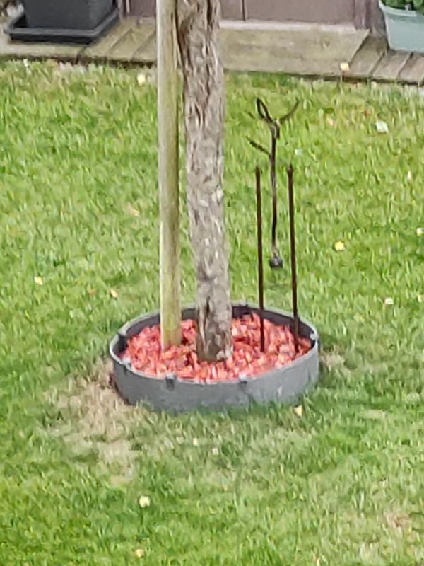 Abra o modal de avaliação 1 de 1