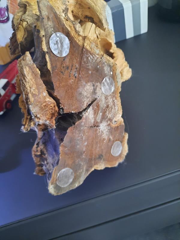 Otwórz okno opinii 1 na stronie 4