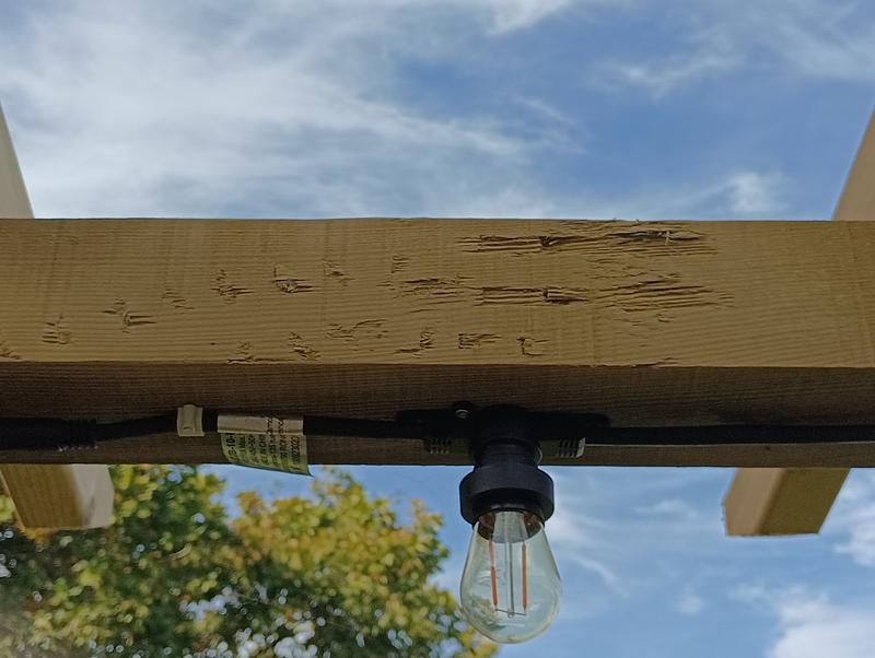 Ouvrir la fenêtre modale de l'avis 1 sur 1