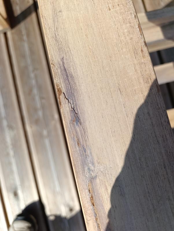 Revisione aperta modale 2 su 2