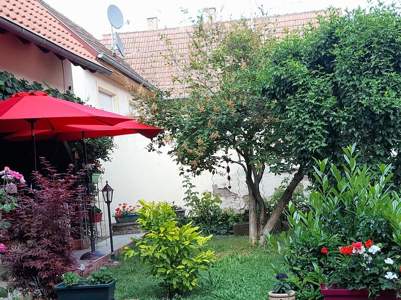 Ouvrir la fenêtre modale de l'avis 1 sur 1