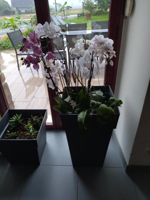 Ouvrir la fenêtre modale de l'avis 1 sur 1