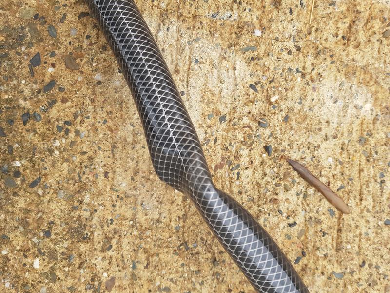 Ouvrir la fenêtre modale de l'avis 1 sur 1