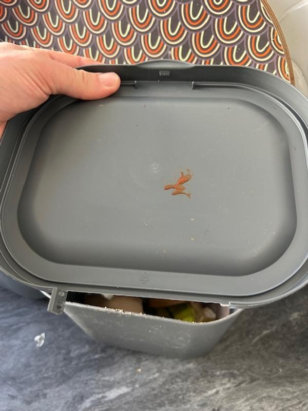 Revisione aperta modale 1 su 1