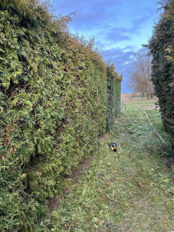 Ouvrir la fenêtre modale de l'avis 3 sur 3