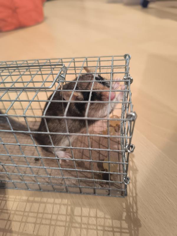 Ouvrir la fenêtre modale de l'avis 1 sur 2