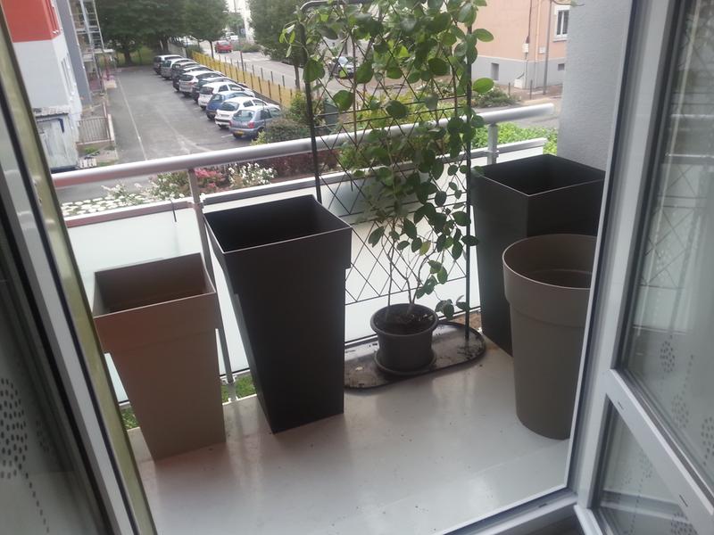 Ouvrir la fenêtre modale de l'avis 1 sur 1