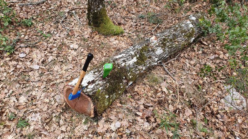 Ouvrir la fenêtre modale de l'avis 1 sur 1