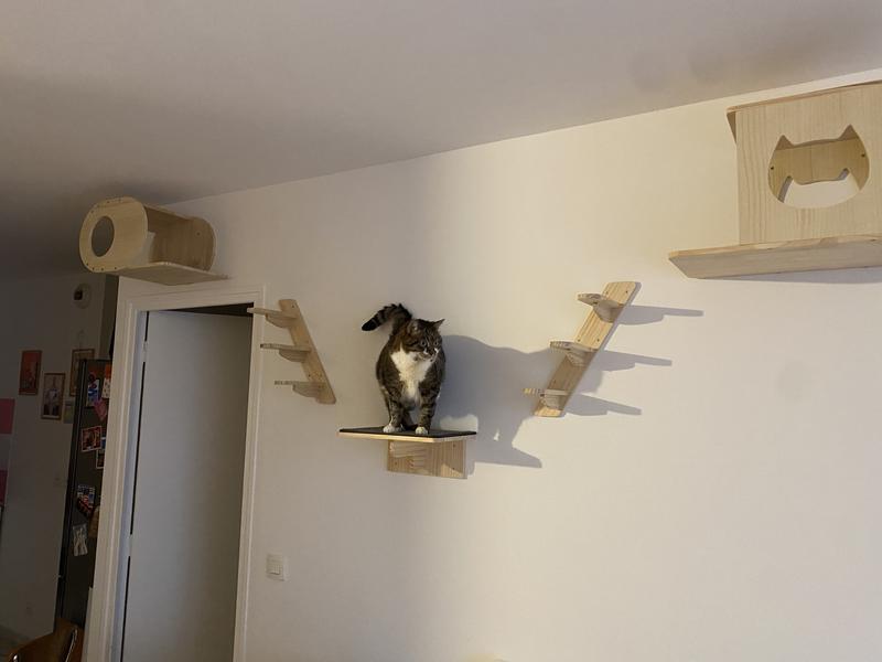 Ouvrir la fenêtre modale de l'avis 1 sur 2