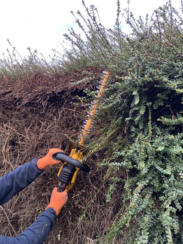 Ouvrir la fenêtre modale de l'avis 5 sur 6