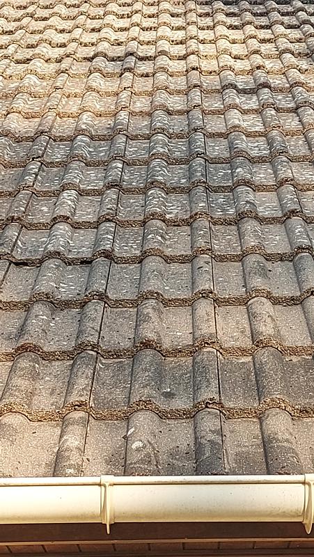 Ouvrir la fenêtre modale de l'avis 1 sur 1