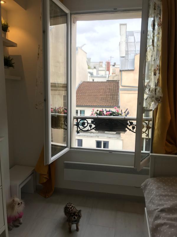 Ouvrir la fenêtre modale de l'avis 1 sur 1