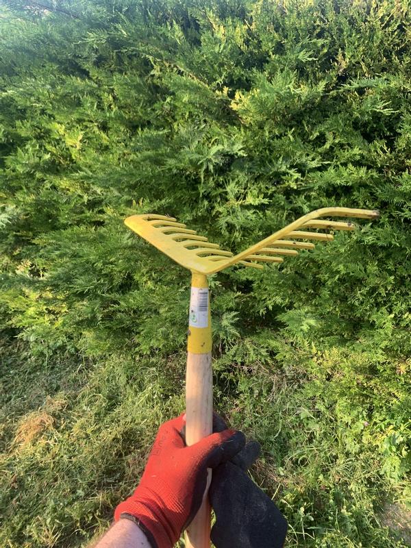 Abra o modal de avaliação 2 de 2