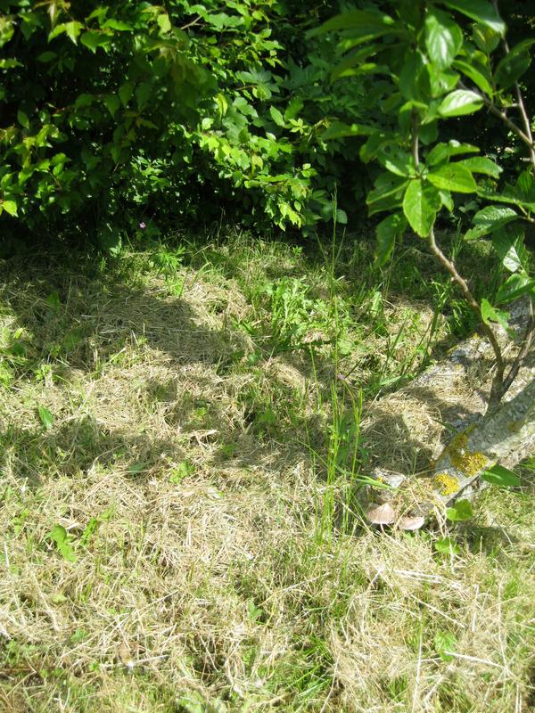 Ouvrir la fenêtre modale de l'avis 4 sur 5