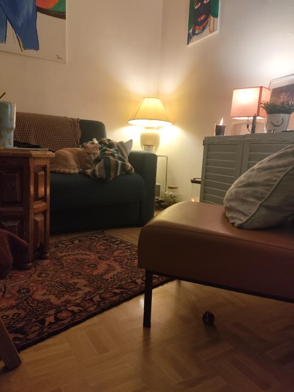 Ouvrir la fenêtre modale de l'avis 2 sur 3