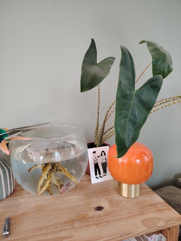 Ouvrir la fenêtre modale de l'avis 1 sur 3