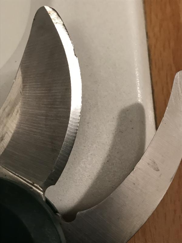 Revisione aperta modale 1 su 2