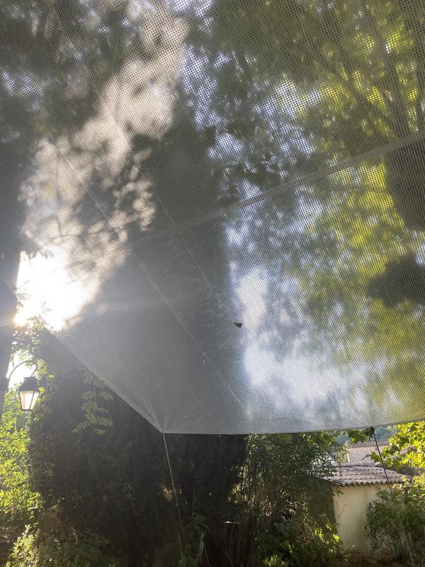 Ouvrir la fenêtre modale de l'avis 1 sur 1