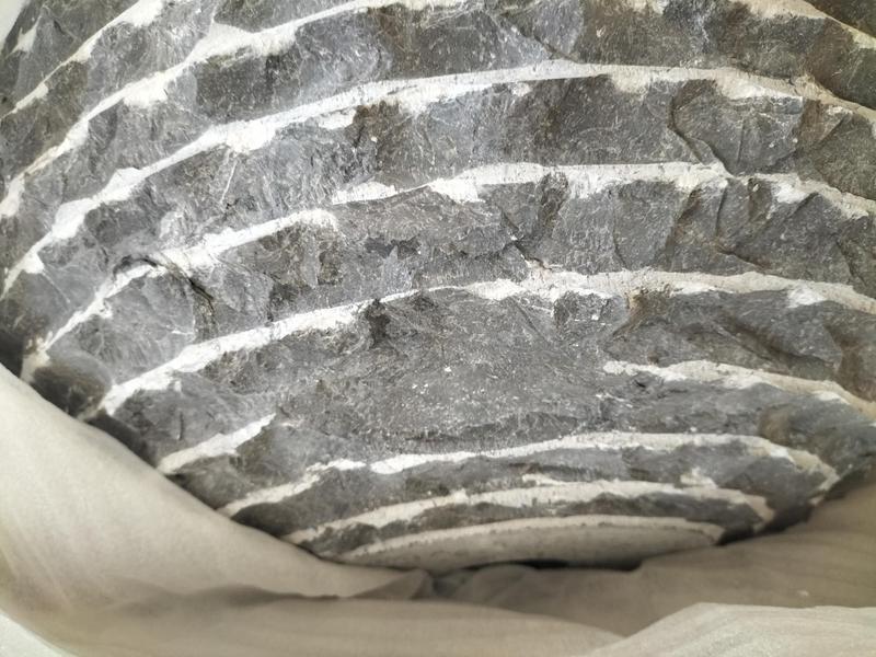 Ouvrir la fenêtre modale de l'avis 2 sur 3