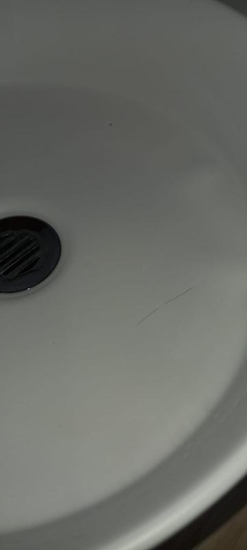 Revisione aperta modale 2 su 2