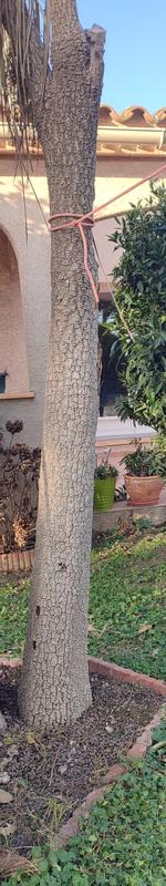 Ouvrir la fenêtre modale de l'avis 1 sur 4