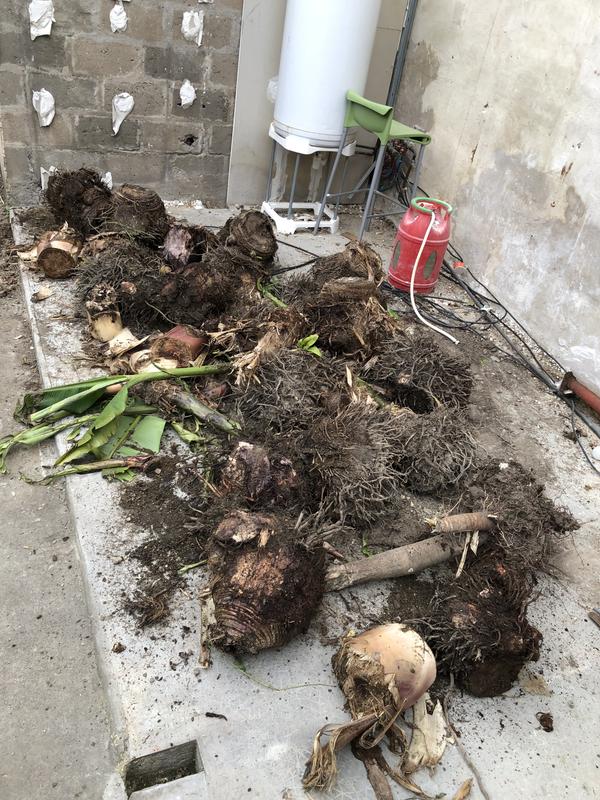 Ouvrir la fenêtre modale de l'avis 1 sur 3