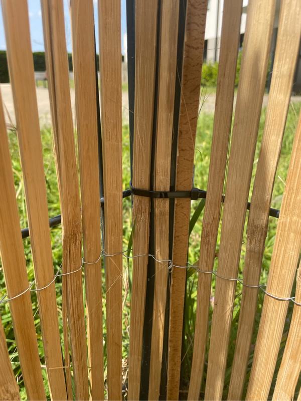 Abra o modal de avaliação 1 de 3