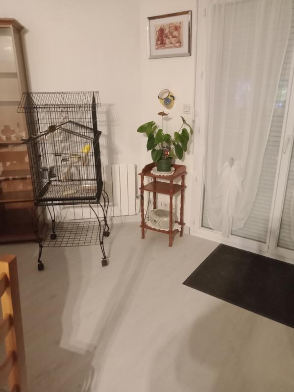 Abra o modal de avaliação 1 de 1