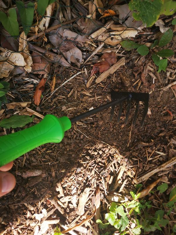 Revisione aperta modale 1 su 2