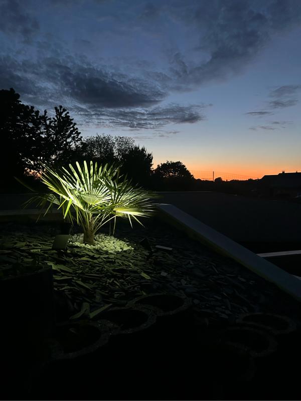 Ouvrir la fenêtre modale de l'avis 1 sur 1