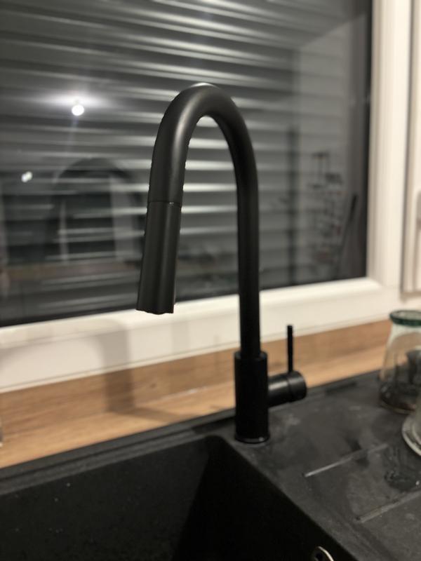 Revisione aperta modale 1 su 2