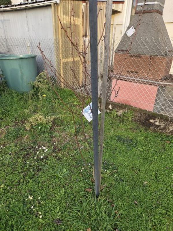 Ouvrir la fenêtre modale de l'avis 3 sur 4